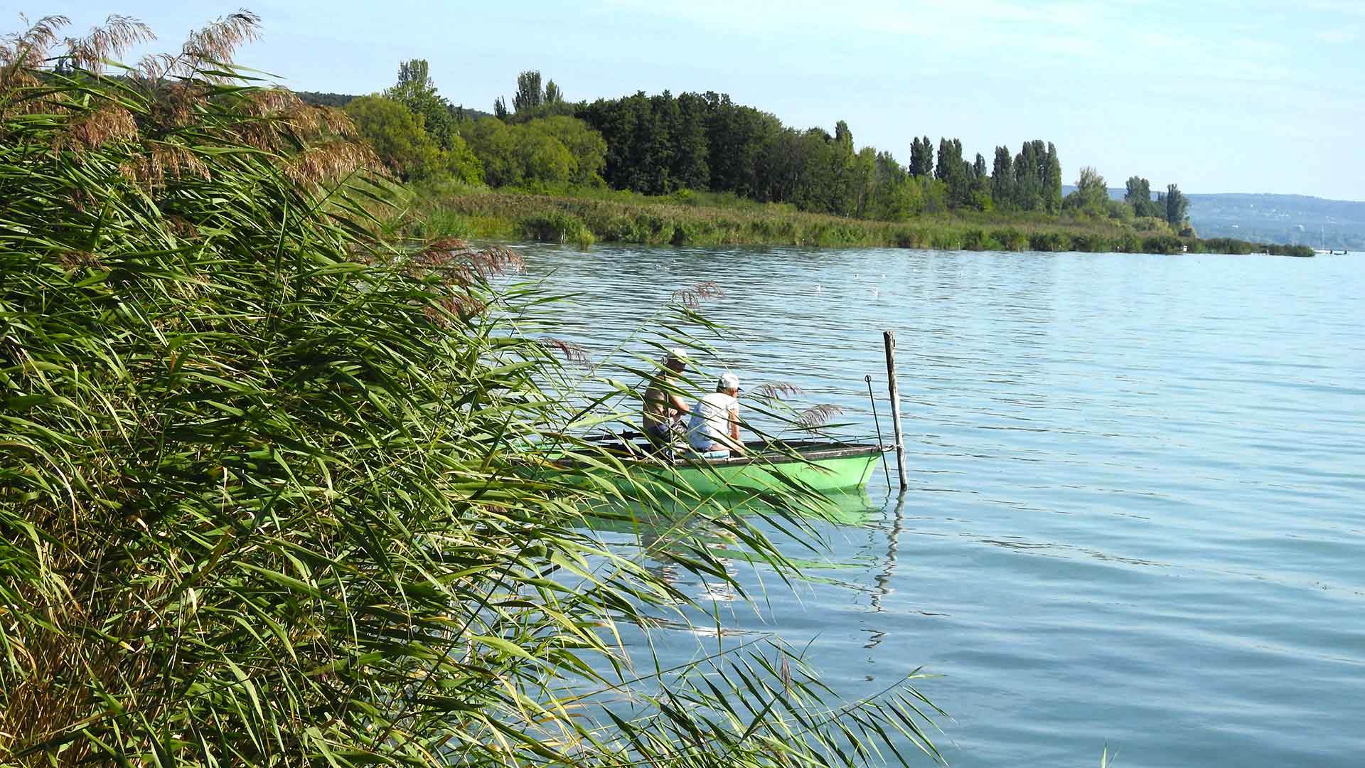 Balaton északi partján, közvetlen vízparti telek eladó 11