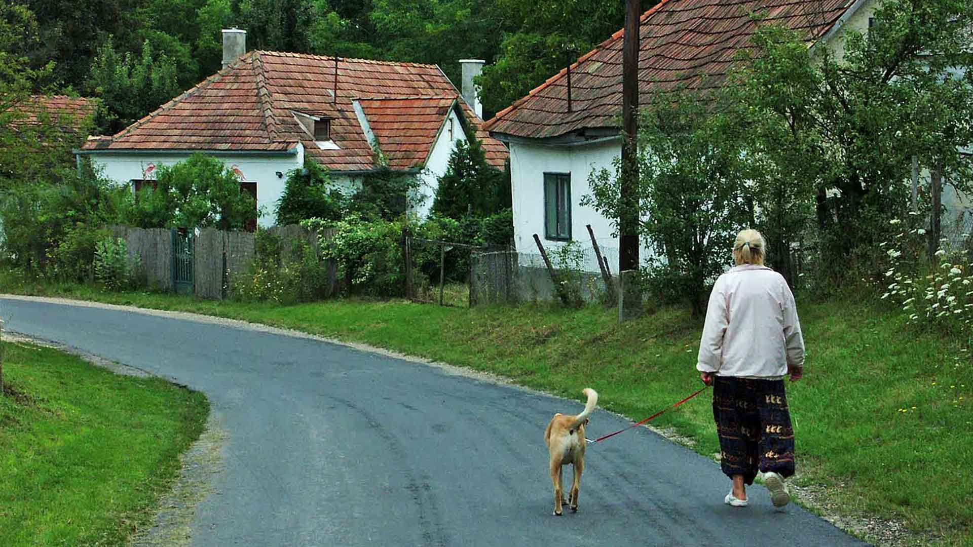 Eladó családi lakóházat keresek Vevőimnek a Balaton partján, a Balaton-felvidéken, a Bakonyban