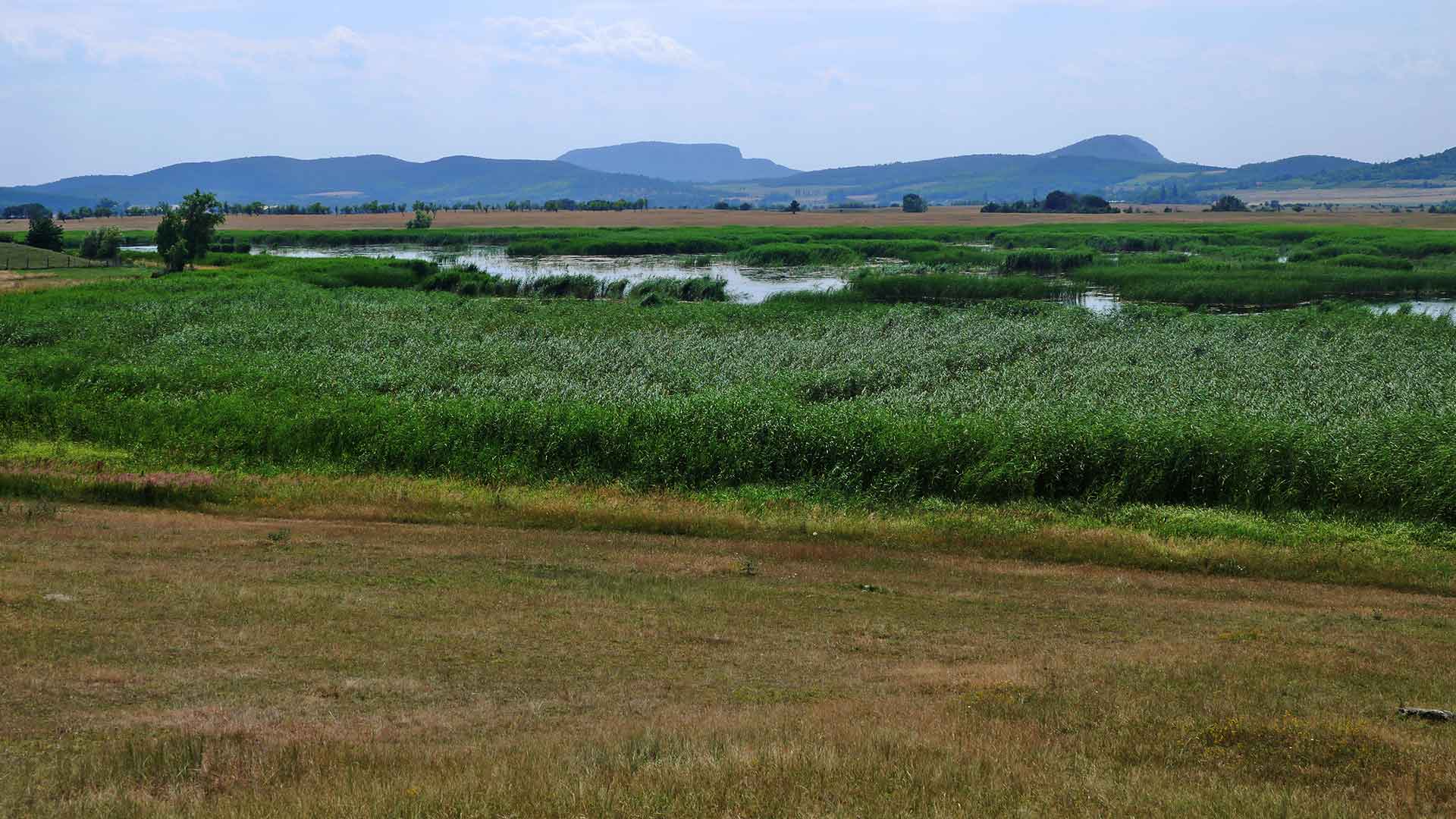 Balaton-felvidék, Káli-medence, Kornyi-tó.