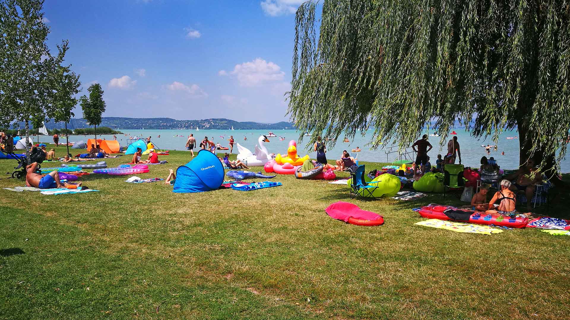 Csillogó víztükör, kék víz, fehér vitorlák, színes szörfdeszkák, bikinis lányok