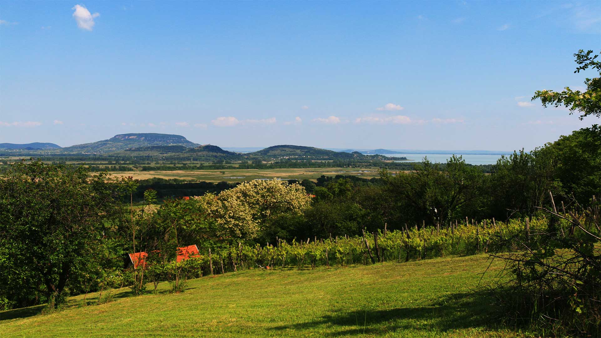 Kilátás, panoráma a Balatonra és a tanú-hegyekre a Keszthelyi-hegységről