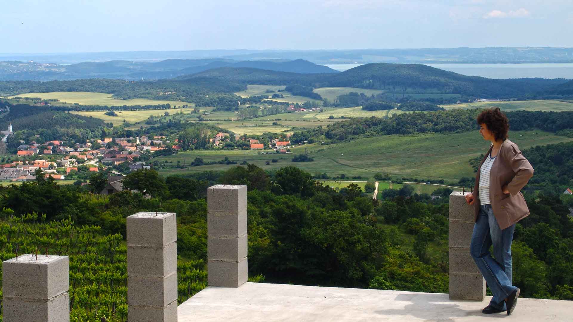 Örökpanoráma a Balatonra a Pécselyről