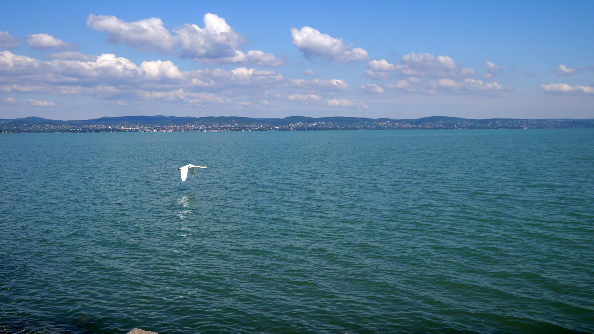 Az eladó balatoni ingatlanok közül a balatoni panorámás ingatlanokat folyamatosan keresik