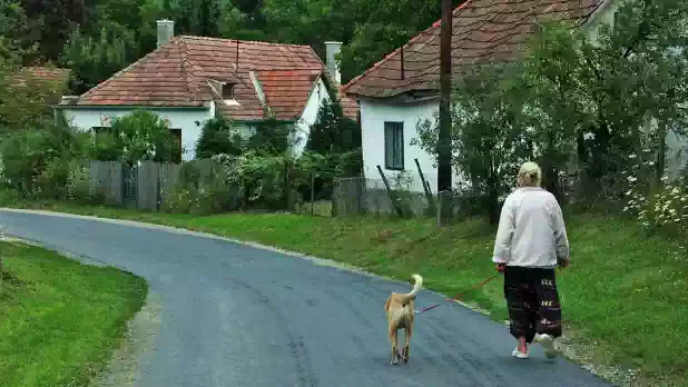 Parasztház a Bakonyban