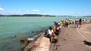 Balatonföldvár kikötője különleges vonzerővel rendelkezik