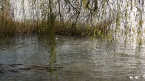 Közvetlen szomszéd, a szabad strand